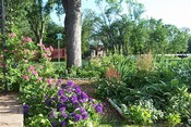 Decorative Garden