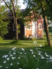 The Bird's Nest cabin