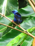 visitor to the waterfall