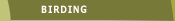 Birding