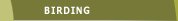 Birding