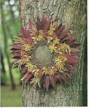 Sunburst-style wreath