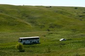 Bus Tour