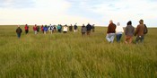 Wilderness Walk