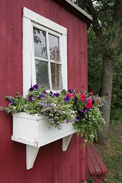 Birds Nest Cabin Window Box