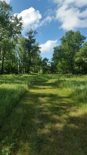 Walking Trail
