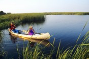 Birding at Arrowwood Refuge