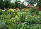 Carols Garden