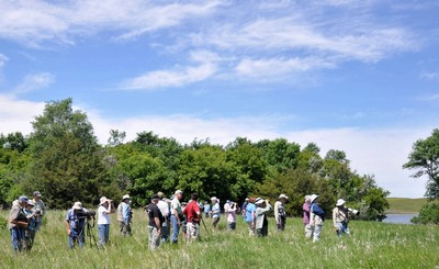 Woodland Birding