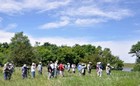 Woodland Birding