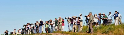 Birders
