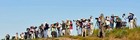 Birders