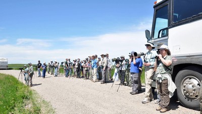 Birders adding to Life List