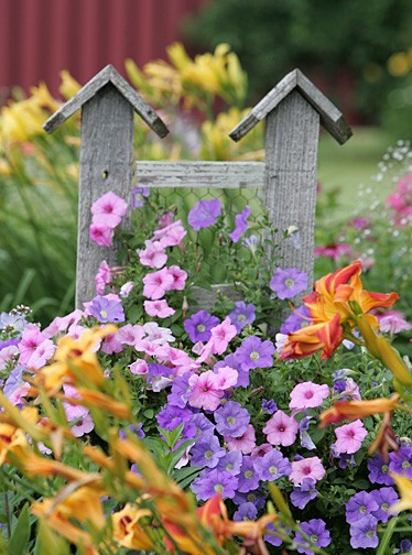 More Flowers
