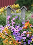 More Flowers