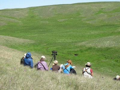 Birders relaxing