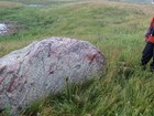 Buffalo Rub rock