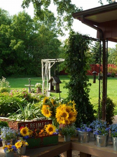 Back Porch Flowers
