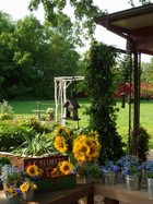 Back Porch Flowers