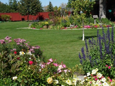 Bird Cage Garden