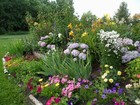 Hill Garden