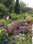 Mom's Garden