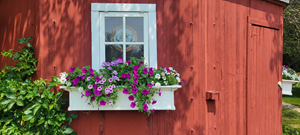 Prairie Hideaway Closeup