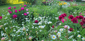 Spectacular June