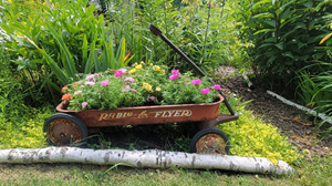 Childhood Radio Flyer