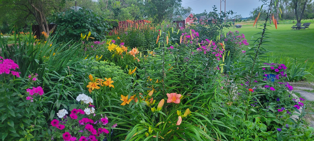 Midsummer garden
