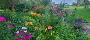 Midsummer garden