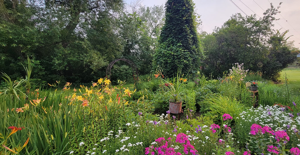 Mom's garden 