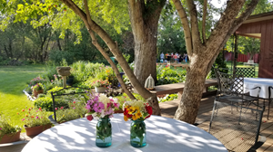 Preparations for a small wedding