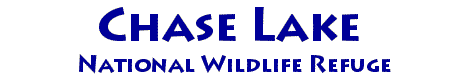 Chase Lake NWR